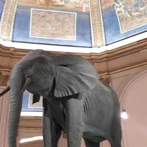 Biennale 2022 Venedig
