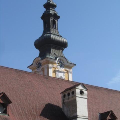 Omnes civis mundi Treffen in Graz