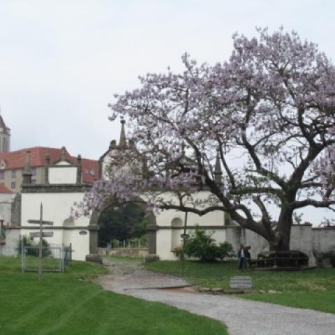 Omnes civis mundi Treffen in Graz